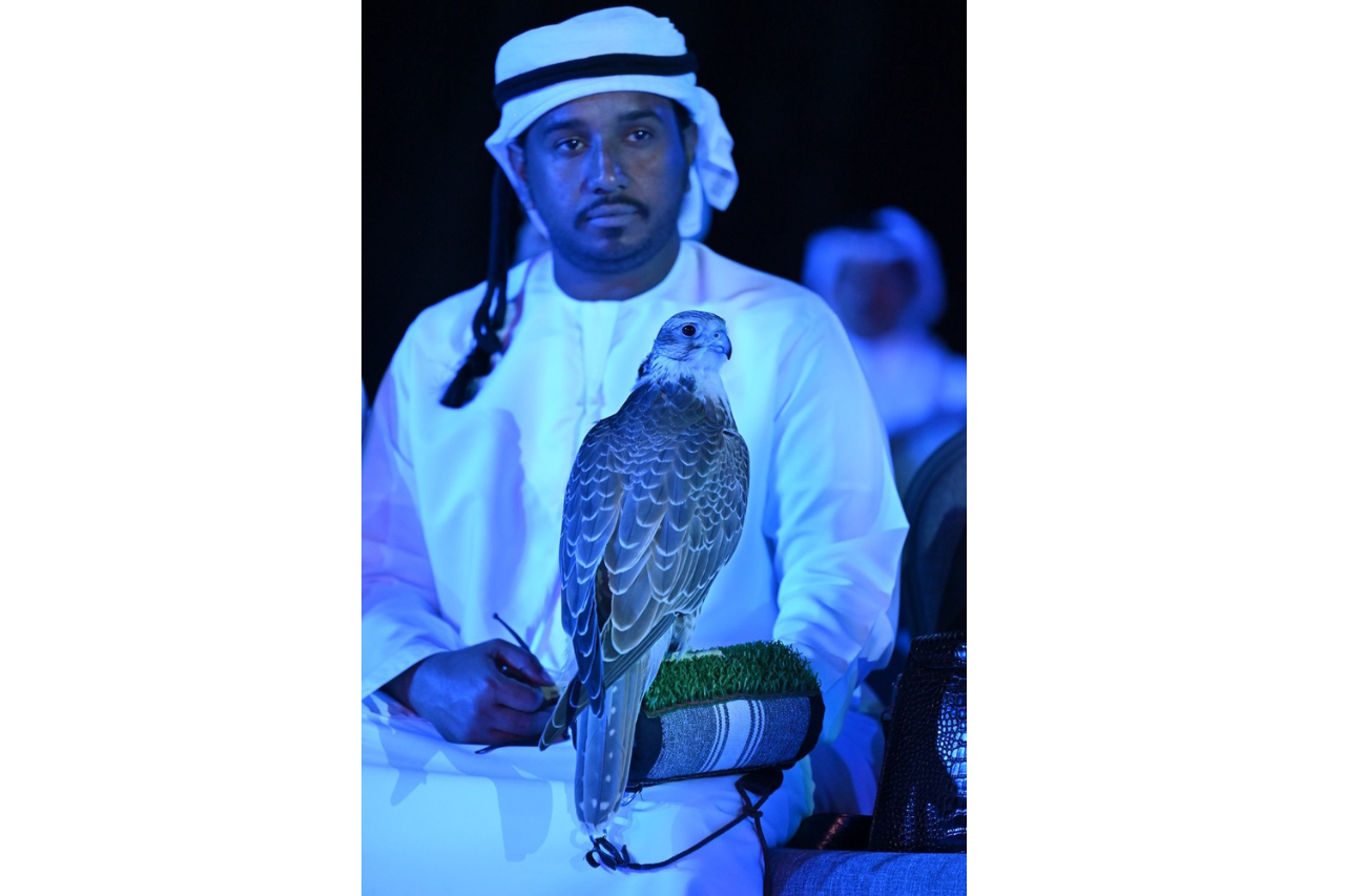  La fauconnerie, patrimoine culturel immatériel reconnu par l’UNESCO aux Emirats Arabes Unis et en Belgique 