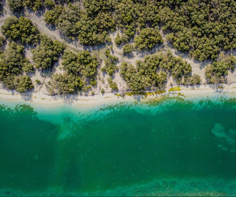 Les mangroves d'Abu Dhabi, île de Reem (c) Abdulrahman Rezki