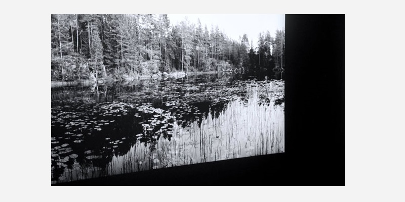 © Hélène Petite, Exposition Horizons, BANG, 2019. Photo : FDR © Hélène Petite, Exposition Horizons, BANG, 2019. Photo : FDR