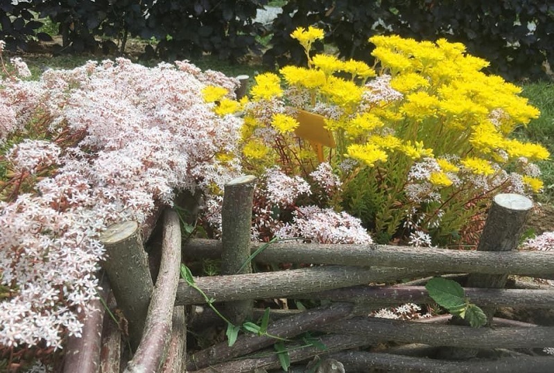 Jardin botanique (c) WASABI