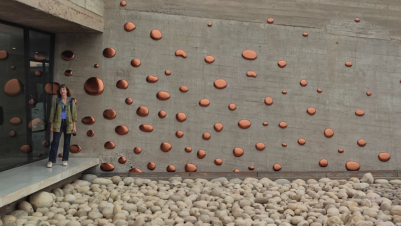 Mushrooms and Mould par Elodie Antoine (c) DGWB Santiago du Chili Mushrooms and Mould par Elodie Antoine (c) DGWB Santiago du Chili
