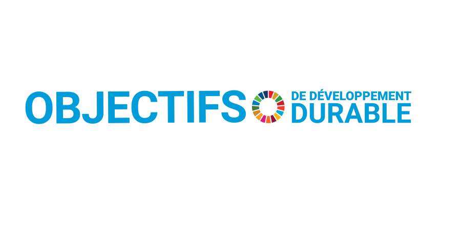 17 Objectifs de Développement Durable (c) ONU