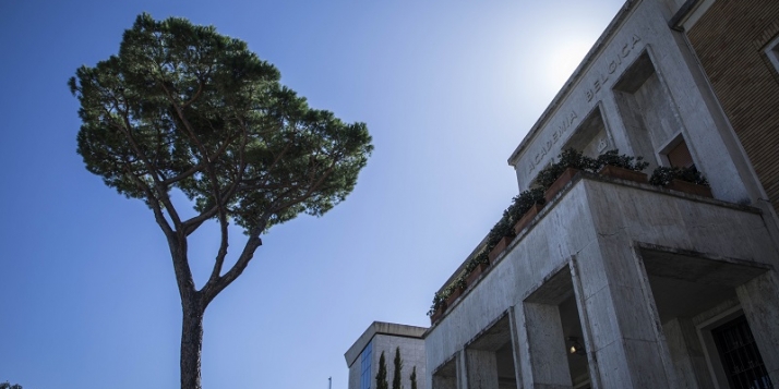 Academia Belgica Roma (c) Monkeys video Lab Academia Belgica Roma (c) Monkeys video Lab