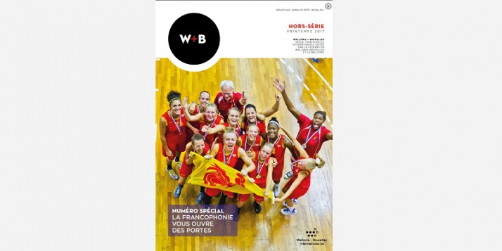 (c) J. Van Belle - WBI