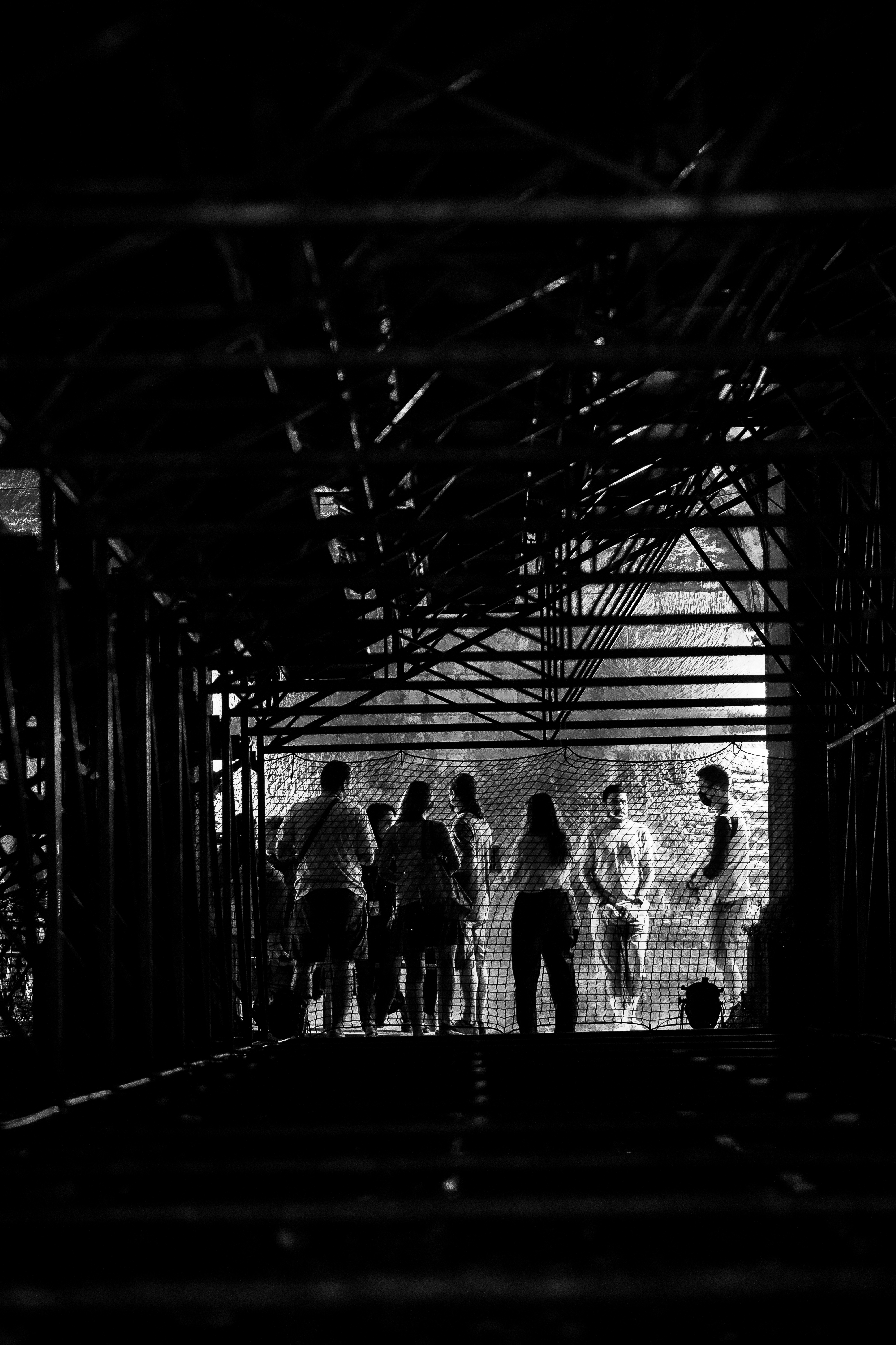 ©️ J. Van Belle - WBI ©️ J. Van Belle - WBI