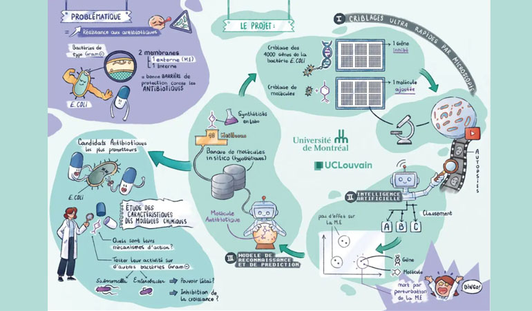 © FRQ, F.R.S. - FNRS / CpiG - L’IA mise à contribution dans la lutte contre les résistances aux antimicrobiens © FRQ, F.R.S. - FNRS / CpiG - L’IA mise à contribution dans la lutte contre les résistances aux antimicrobiens