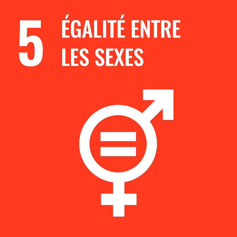 Objectif de Développement Durable 5 (c) ONU Objectif de Développement Durable 5 (c) ONU