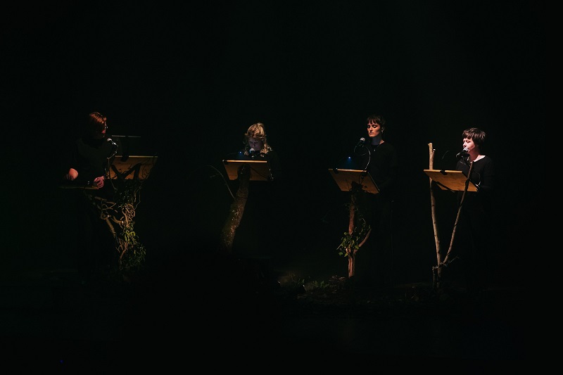 Au-dedans de la forêt du Théâtre de la Guimbarde © J. Van Belle - WBI