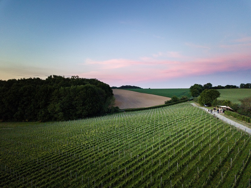 Vignoble du Château de Bousval (c) WBT Vignoble du Château de Bousval