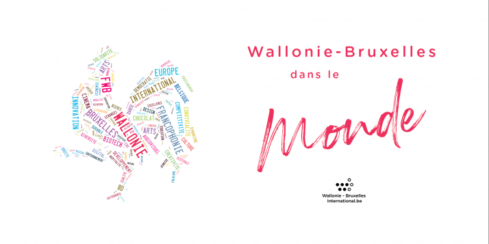(c) J. Van Belle - WBI