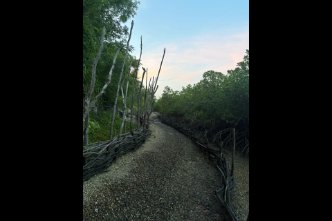 Les fascines, une solution douce pour lutter contre l’érosion © Frédéric Delepierre