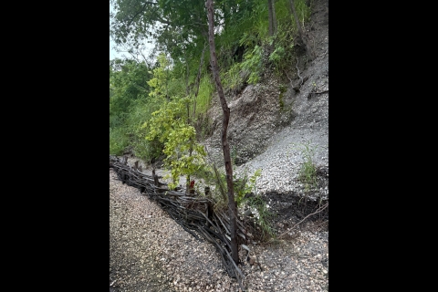 Les fascines, une solution douce pour lutter contre l’érosion © Frédéric Delepierre