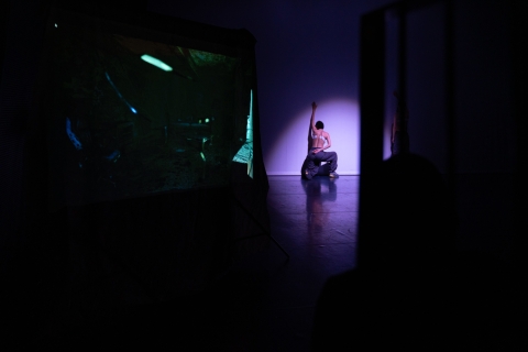 "Feral Reverie" par Parvin Saljoughi © E. Meunier - WBI "Feral Reverie" par Parvin Saljoughi © E. Meunier - WBI