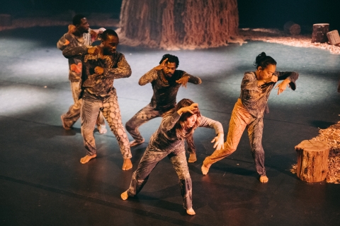 "Combat de Lianes" par la Cie Zora Snake ©️ Marin Dringuez