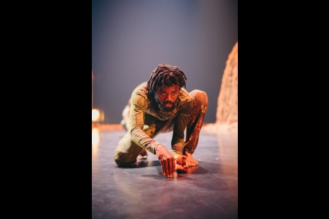 "Combat de Lianes" par la Cie Zora Snake ©️ Marin Dringuez