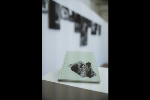 Exposition de Nathalie Malisse dans les Rencontres OFF ©️ J. Van Belle - WBI Exposition de Nathalie Malisse dans les Rencontres OFF ©️ J. Van Belle - WBI