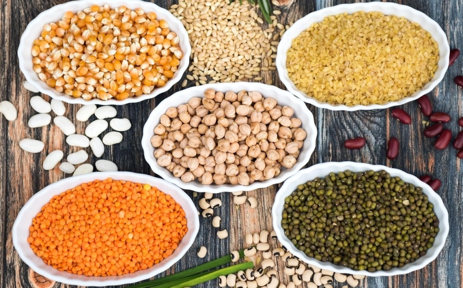 Quelles protéines alternatives privilégier dans notre alimentation ?