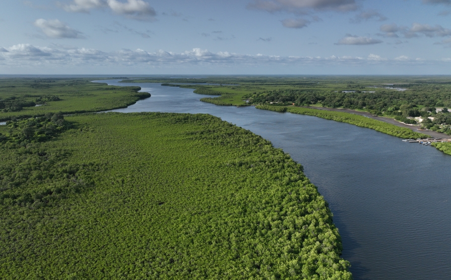 Le Delta du Saloum au Sénégal © ULB Coopération