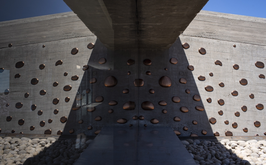 Photo de l'oeuvre "Mushrooms and mould" d'Elodie Antoine (Belgique)