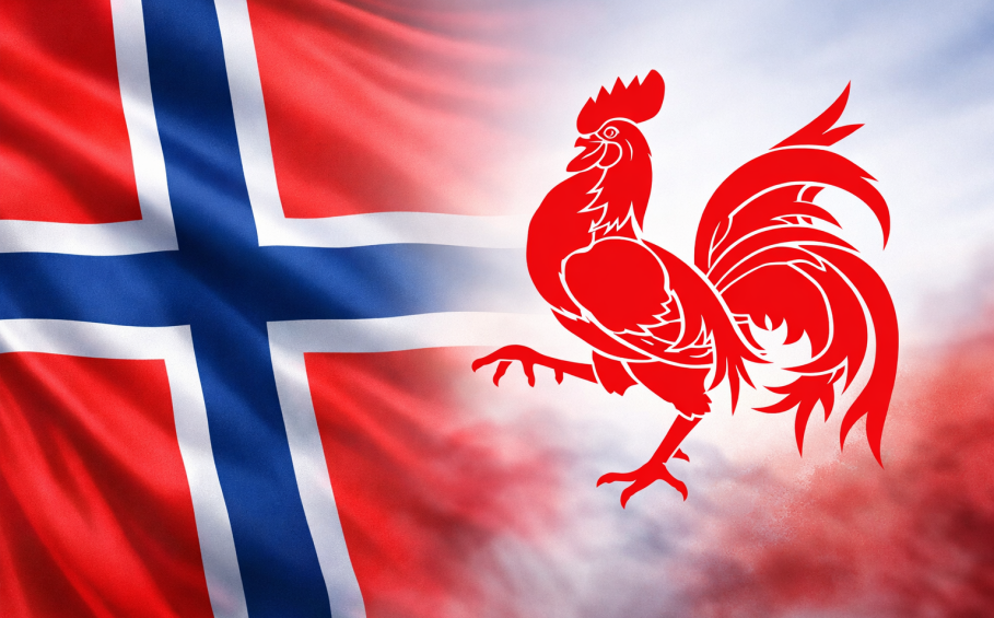 Montage du drapeau norvégien et du coq wallon