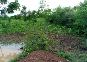 Mise en défens au Burkina Faso © Tiipaalga