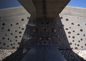 Photo de l'oeuvre "Mushrooms and mould" d'Elodie Antoine (Belgique)