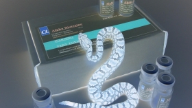 Serpent