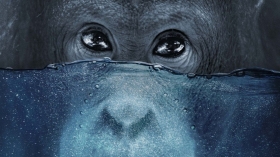 détail affiche Ecocide: changer ou disparaître détail affiche Ecocide: changer ou disparaître