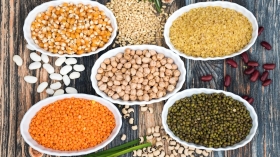 Quelles protéines alternatives privilégier dans notre alimentation ? Quelles protéines alternatives privilégier dans notre alimentation ?