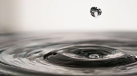 Source : Daily Science