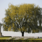 Cimetière de Comines-Warneton ©SPW/Guy Focant Cimetière de Comines-Warneton ©SPW/Guy Focant